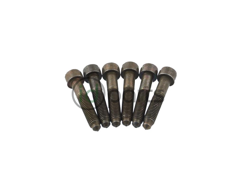 Intake Manifold Bolt Set (1Z)(AHU)(A4 ALH) Picture 1